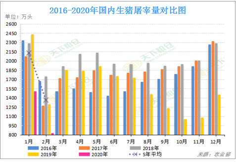 2020/03/25疫情之下美国瘦肉猪剧烈震荡而中国进口量大增，后市将如何？