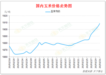 2020/04/01海外疫情加剧扩散对国内外玉米价格影响几何？