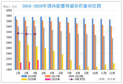 2020/04/29疫情令美国猪肉食品供应链失控，国内外猪价格将会怎样？