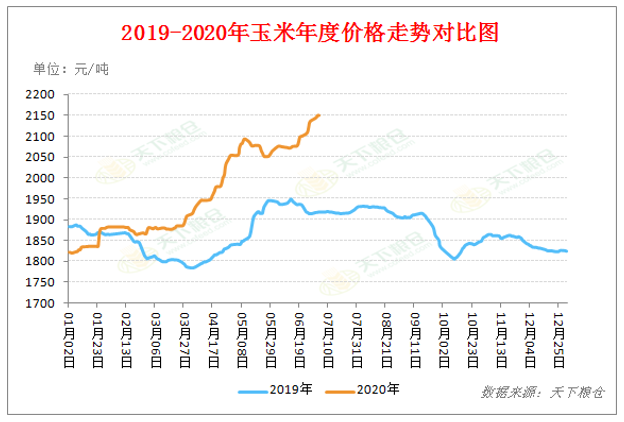 2020/07/02美玉米生长炒作及国内政策粮拍卖背景下，玉米价格如何走？