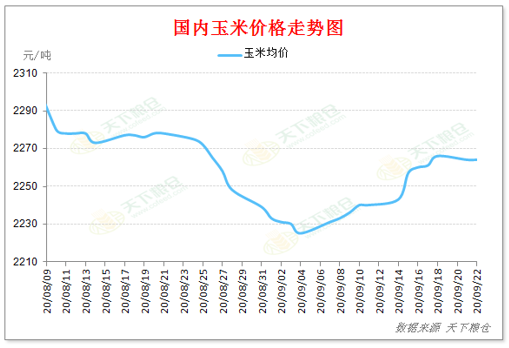 2020/09/23国内外玉米价格齐声涨，10月份走势将如何？