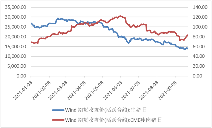 上市猪企三季报大亏，中、美猪市冰火两重天