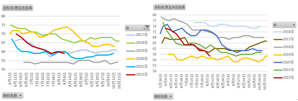【农业期市月报】单产上调与天气拉锯，美豆区间内偏强运行