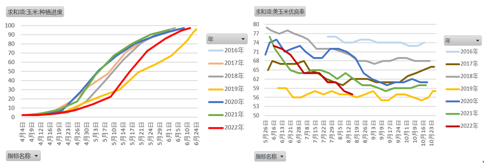 【农业期市月报】单产下修，收获前美玉米区间运行
