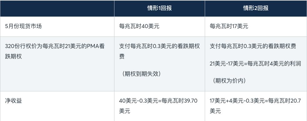 利用期权管理能源市场风险