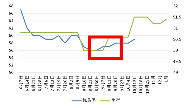 USDA 11月报告前瞻：美豆产量会否低于上年？