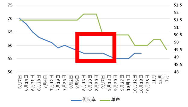 USDA 11月报告前瞻：美豆产量会否低于上年？