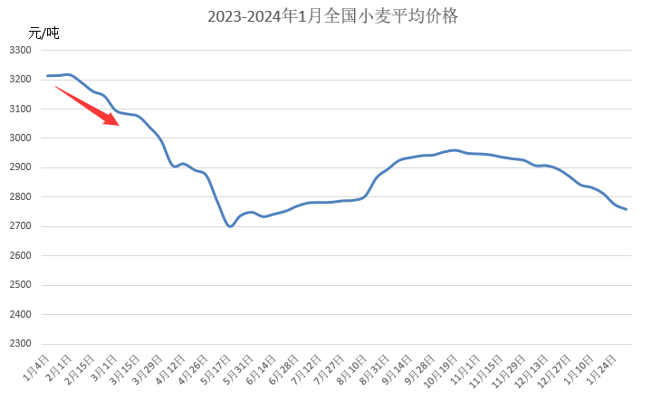 小麦节后喜迎“开门红”，是“昙花一现”还是行情反转？