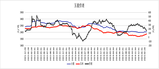国外天气扰动、国内饲用提升，麦价还要继续涨？
