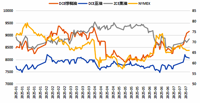 棕榈油大涨何时休？