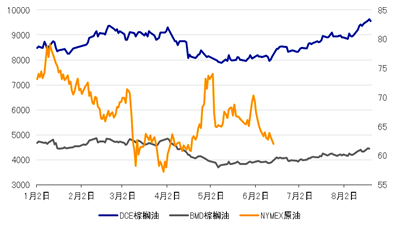 棕榈油要转势了吗？