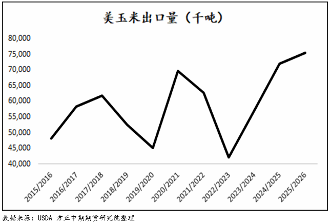 新玉米要登场，是喜还是忧？