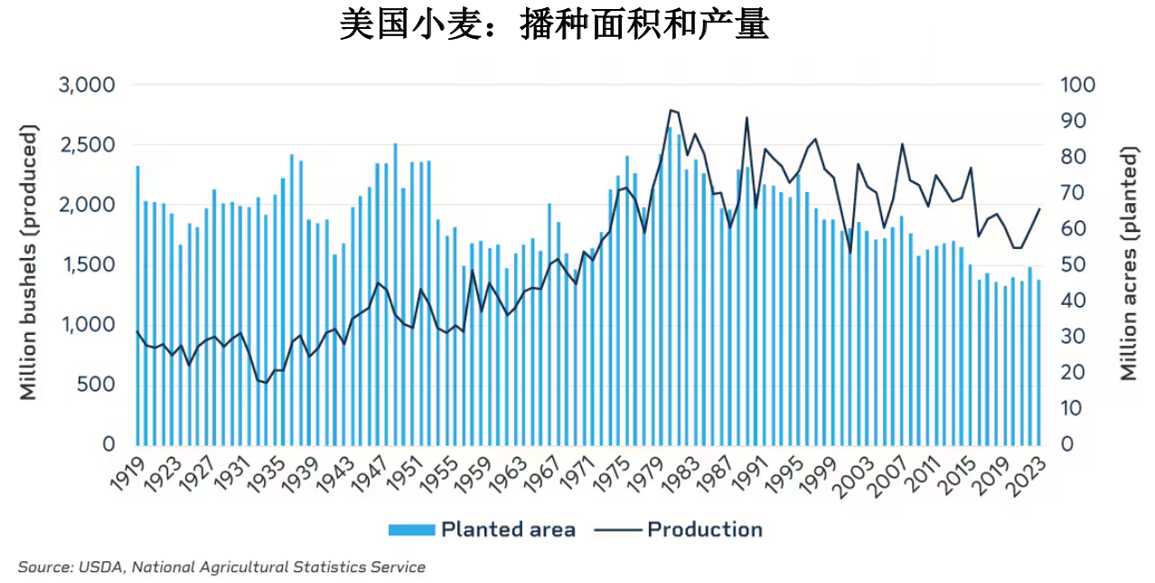 天气如何影响小麦产量？