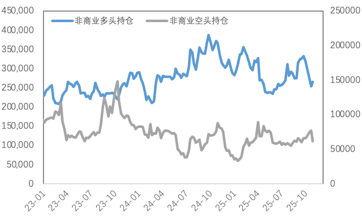 结构性短缺点燃铜市，降息预期叠加挤仓风险引爆白银
