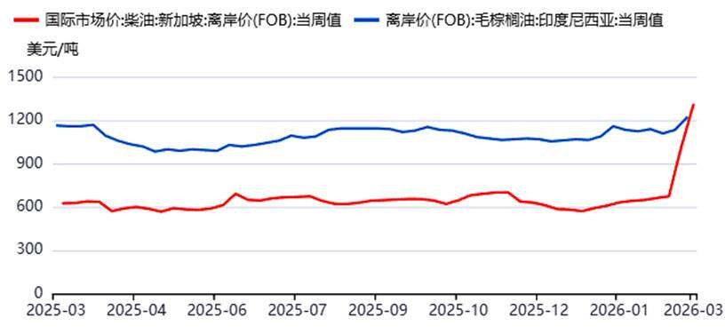棕榈油冲击万元，谁在“添油加火”？