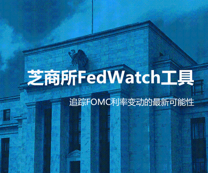 芝商所FedWatch工具