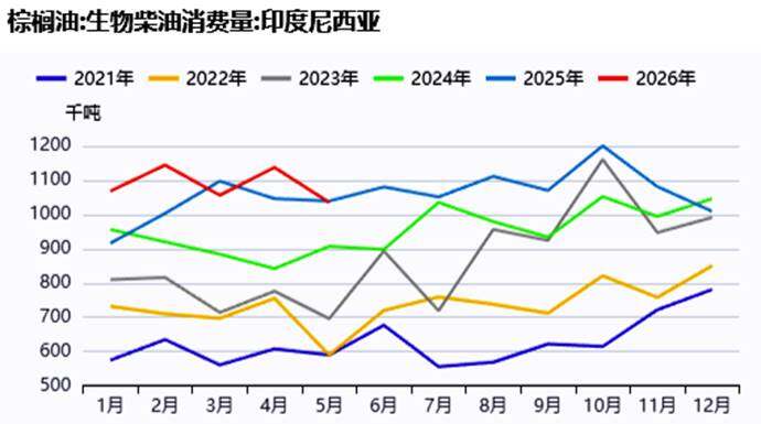 气象、生柴与政策三重交织,谁在主导全球棕榈油市场？